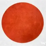 拋光墊_真皮