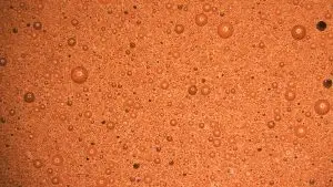 氧化鈰拋光皮