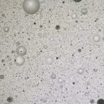 氧化鋯